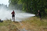 Pierwsza edycja zawodów strażackich Crossfirefihter odbyła się w Goleniowie [ZDJĘCIA]