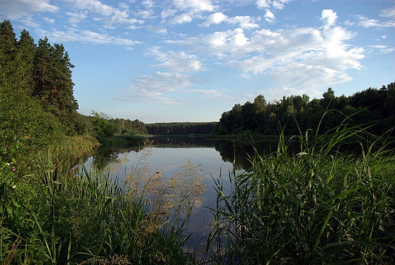 Zbiornik Radzyny 
(Szamotuły)

Zbudowany w latach 1998-2000...