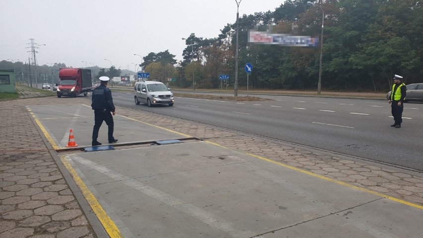 Policyjna akcja EDWARD we Włocławku. 287 kontroli pojazdów, 61 mandatów [zdjęcia]