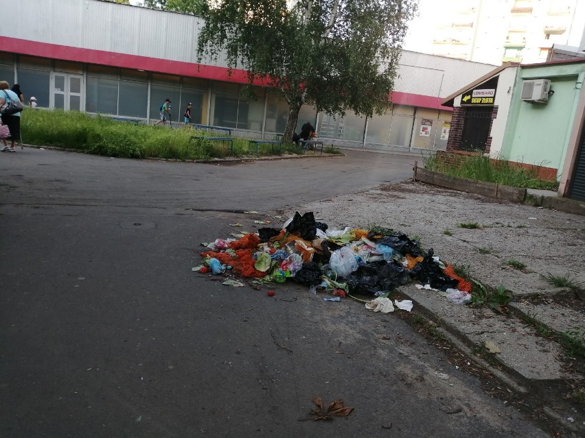 Śmieci na Podzamczu w Wałbrzychu