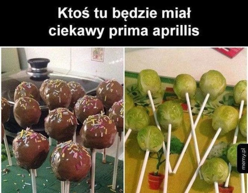 Zobacz najśmieszniejsze MEMY na prima aprilis! Czy 1. kwietnia ktoś jeszcze się nabiera? Zobaczcie sami!