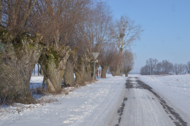 W powiecie lipnowskim drogowcy muszą zadbać o 365 km dróg, które są w piątym standardzie odśnieżania. - Na ten sezon przygotowaliśmy 415 ton mieszaniny piasku z solą – mówi Jarosław Skrzyniarz, zastępca dyrektora Zarządu Dróg Powiatowych w Lipnie.