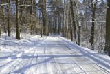Drogi na Powiślu w śnieżnej, zimowej scenerii - warunki jazdy mogą byc bardzo trudne