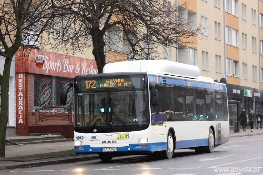 Nowe autobusy wyjechały na gdyńskie ulice [zdjęcia]