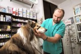 Rada Miejska w Kwidzynie jednogłośnie przyjęła nowy program opieki nad zwierzętami. Uwzględniono uwagi radnych i organizacji prozwierzęcych