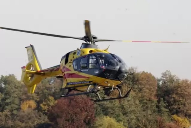 Tragiczny wypadek w lesie w Sokołowsku. Zginął mężczyzna wykonujący prace leśne. Karetce nie udało się dotrzeć na miejsce, medyczny helikopter lądował w szpitalu, mężczyznę reanimowali strażacy.