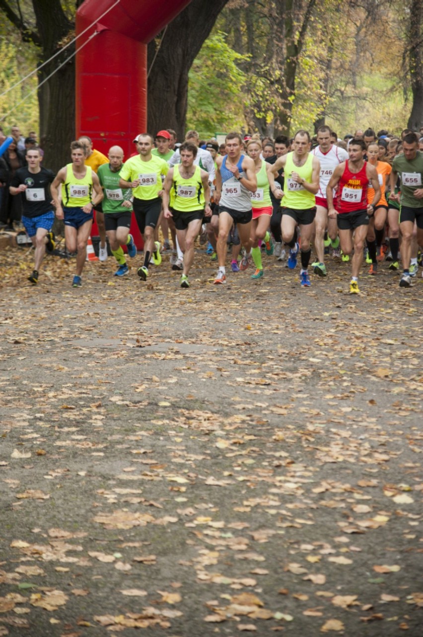 Uczestnicy biegu Praska Dycha - Park Skaryszewski, 20.10.2013