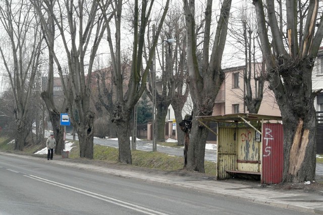 Pod wiatami umieszczono co prawda odpowiednie informacje, ale zostały zniszczone przez wandali i trudno je zauważyć.