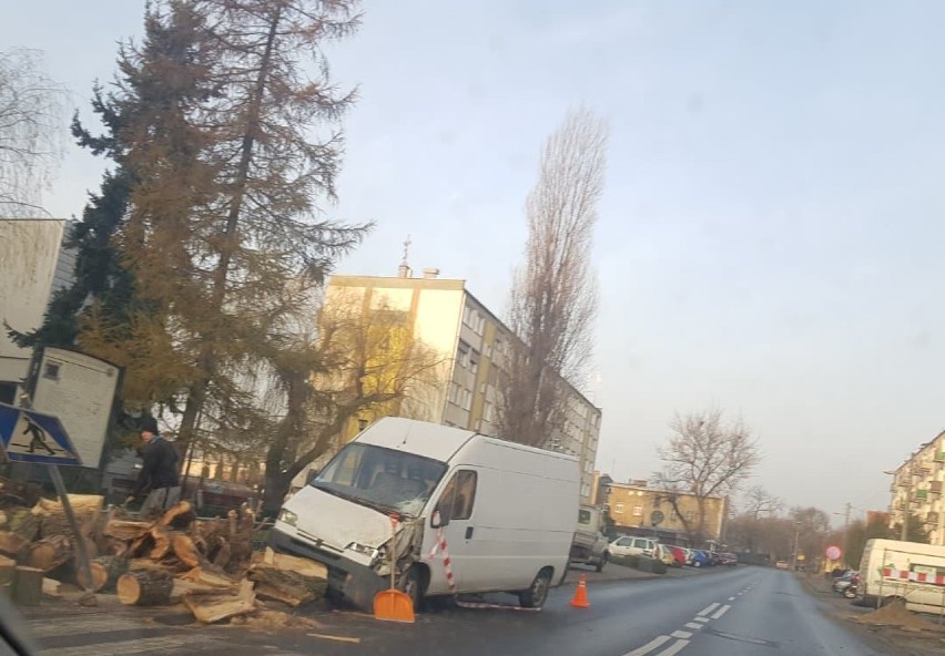 Drzewo przewróciło się na busa pod biblioteką [ZDJĘCIA] 