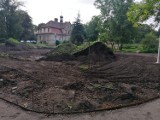 W Kamionej (gmina Żukowice) zarośnięty park zamienia się w miejsce wypoczynku i rekreacji