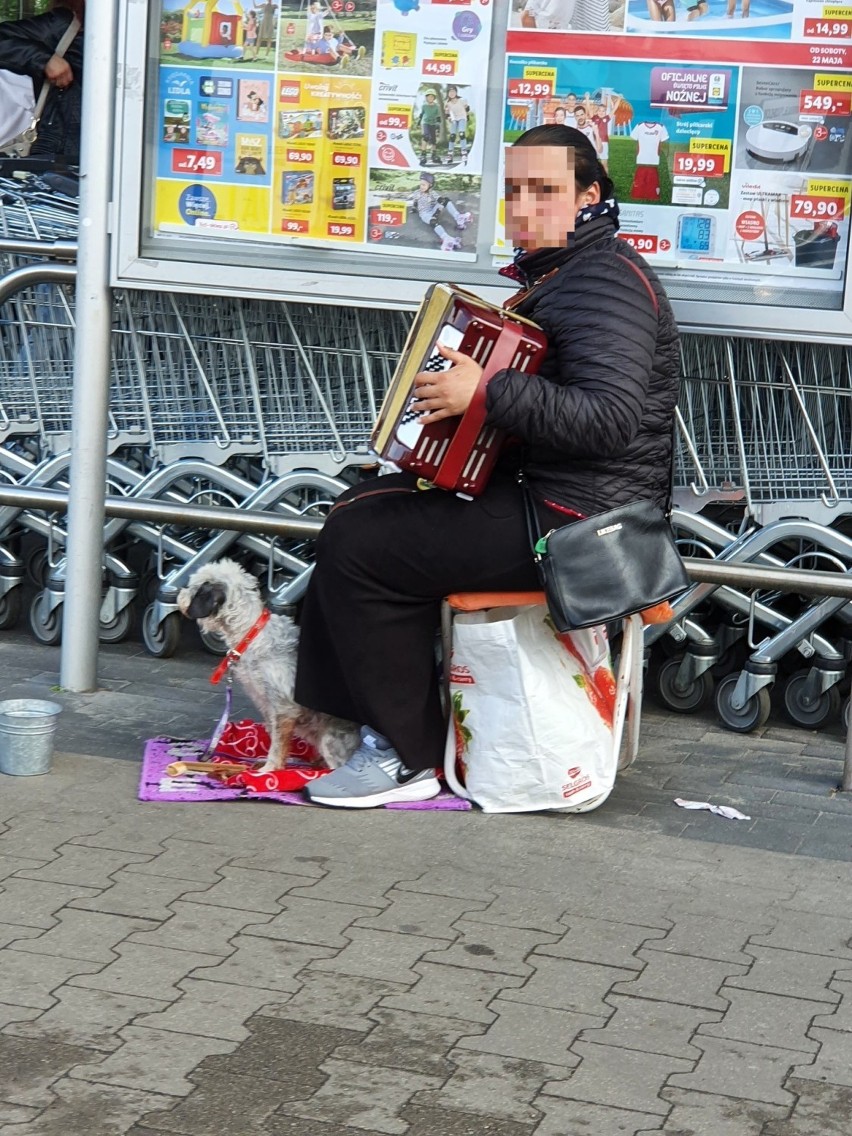 Obywatele Rumunii żebrali pod marketami w Gubinie i...