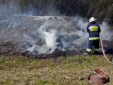 Chrzanów. Strażacy nie mają chwili wytchnienia z powodu podpalanych traw i nieużytków [ZDJĘCIA]