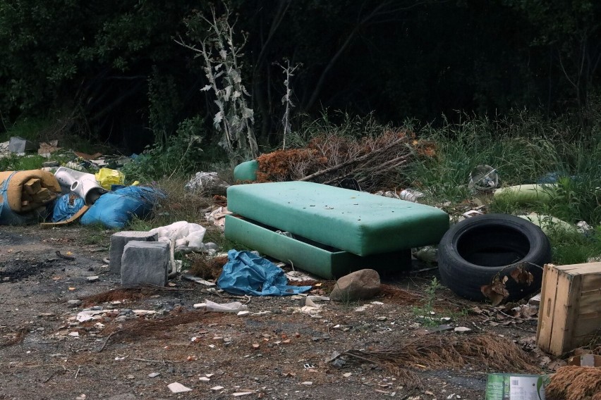 Kolejne dzikie wysypisko w Legnicy, zobaczcie zdjęcia jak "śmieciarze" segregują odpady