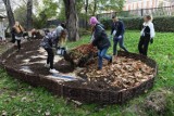 Na Politechnice Krakowskiej powstało "glebarium". Ma poprawiać świadomość ekologiczną społeczności uczelni