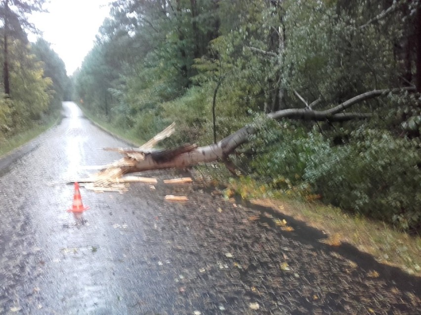 Silny wiatr w powiecie zawierciańskim. Strażacy mają dużo pracy FOTO