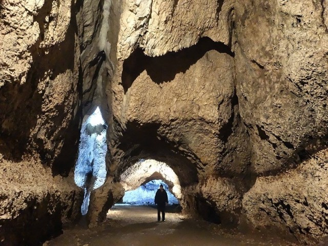 Jaskinia Nietoperzowa w Jerzmanowicach. W tym roku naliczono tu 343 nietoperze, czyli rekordowo dużo