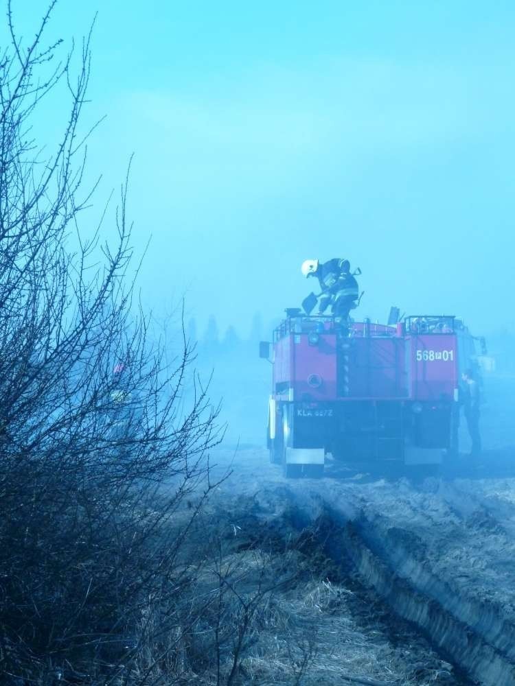 Pożar za Kauflandem