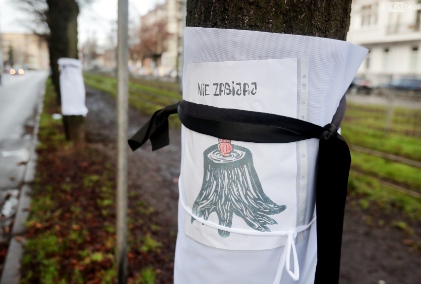 Mówią "NIE" wycince drzew w centrum miasta. Będzie kolejny protest!