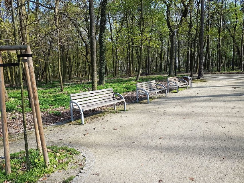 Park miejski przed renowacją ławek i śmietników [FOTO]