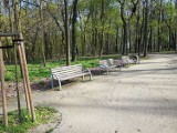 Park miejski przed renowacją ławek i śmietników [FOTO]