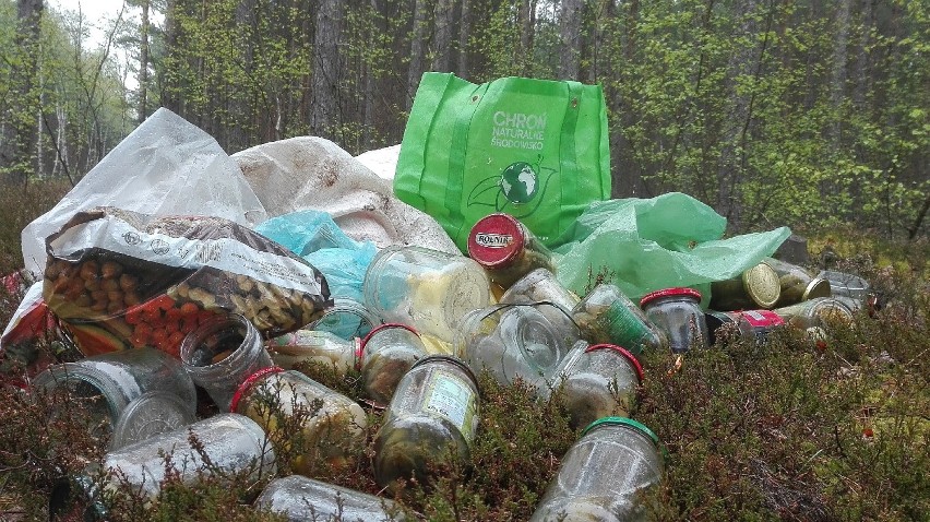 Śmieci zalegające w lasach. Znowu natura przegrywa z...