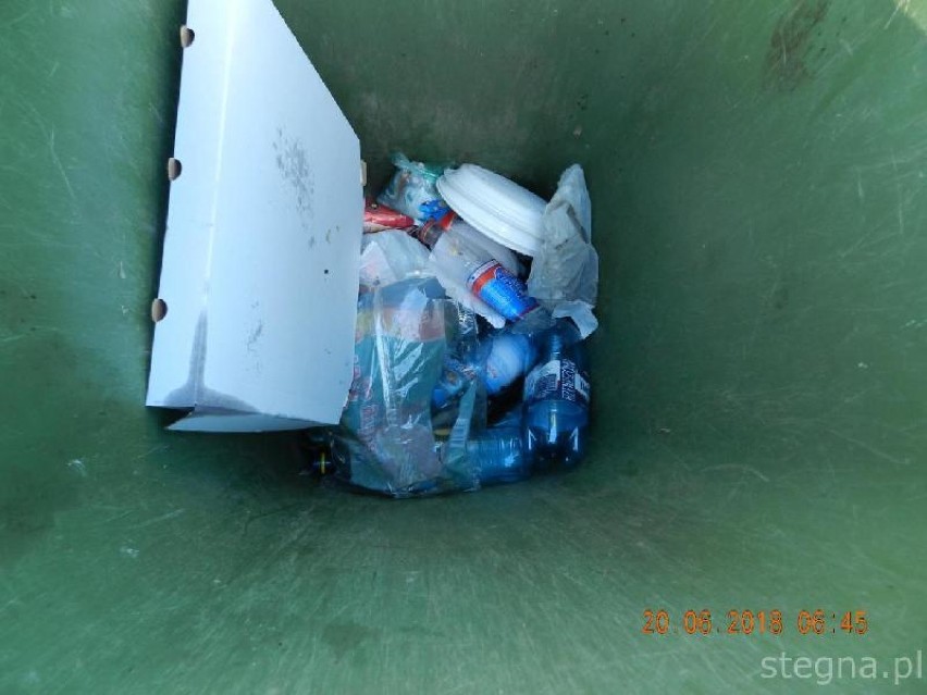 Gmina Stegna. Kontrole poziomu segregacji odpadów
