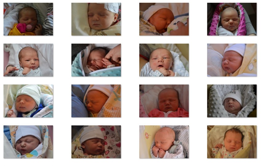 Maluszki urodzone w listopadzie w Szpitalu Miejskim w Miastku (FOTO)