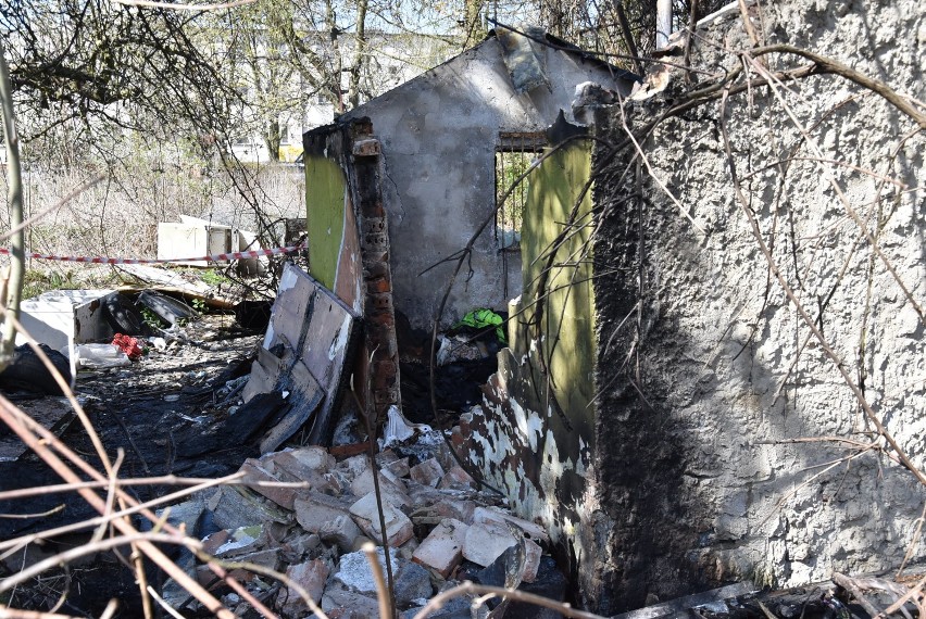 Tragiczne odkrycie na ogrodach działkowych pod Oleśnicą. Znaleziono zwłoki mężczyzny