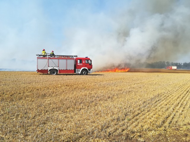 Pożar ścierniska w Turwi. Ogień zagrażał znajdującemu się w pobliżu lasowi