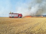 Pożar ścierniska w Turwi. Ogień niebezpiecznie zbliżał się do lasu. W gaszeniu pożaru w Turwi pomogli okoliczni rolnicy [ZDJĘCIA]