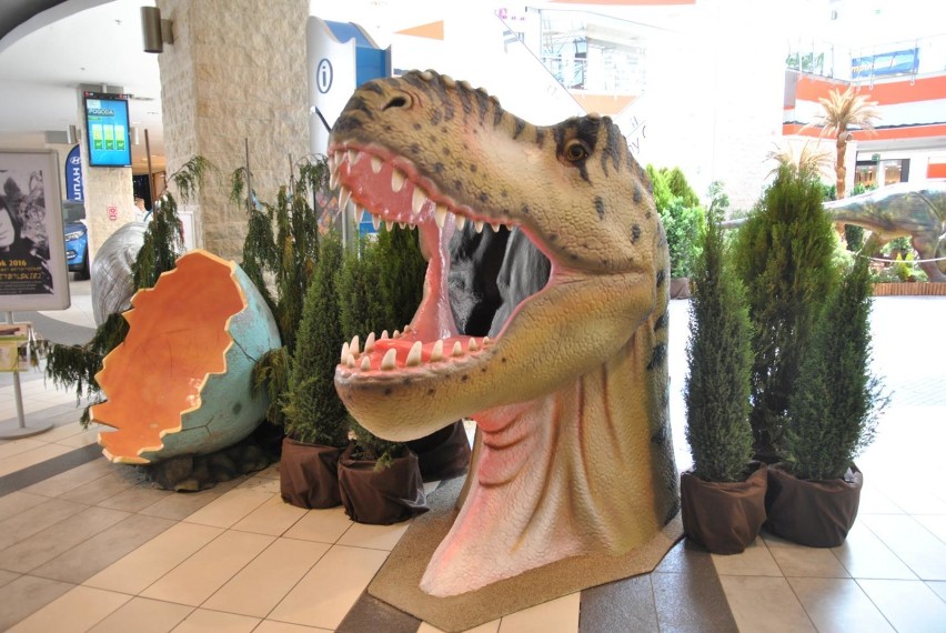 Dinozaury jak żywe! Wyjątkowa wystawa dla dzieci [GALERIA]
