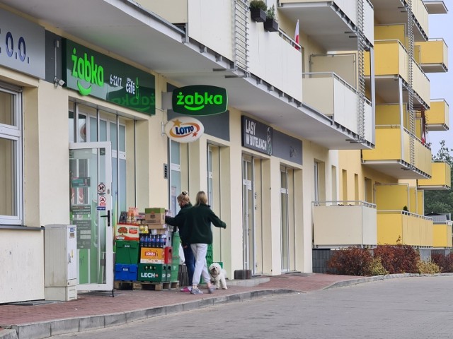 Za mało sklepów, zbyt długie kolejki 

W okolicy osiedla JAR działają tylko dwie większe sieci handlowe. Przy Ugorach zrobimy zakupy w Intermarche, a przy Orląt Lwowskich w Biedronce - i to by było na tyle, jeśli chodzi o większe sklepy w okolicy JAR-u. Działa tam także Żabka, ale ceny są w niej zdecydowanie wyższe niż w popularnych dyskontach. 

Czytaj także: Tak kiedyś wyglądał JAR w Toruniu! Rozpoznasz te miejsca?