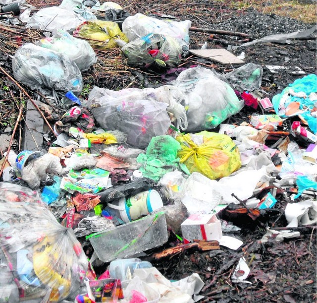 Takie widoki w naszym mieście nie są rzadkością