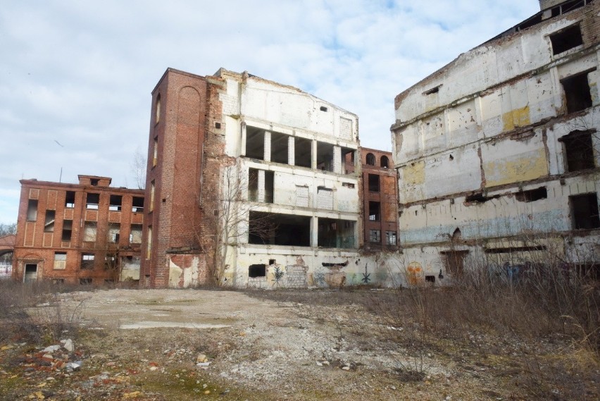 Budynki po zakładzie Carina w Gubinie wciąż stoją puste,...