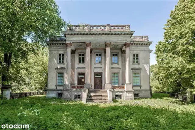 Malowniczo położone, piękne, a nawet... owiane legendą i nawiedzione. Takie pałace zostały wystawione na sprzedaż w Wielkopolsce. Szukają nowego właściciela, który dostrzeże ich potencjał i przywróci im dawny blask. Do tego często kosztują mniej, niż luksusowa rezydencja. Jak wyglądają i ile trzeba za nie zapłacić?

Te wspaniałe wielkopolskie pałace mogą być Twoje. Zobacz, które zostały wystawione na sprzedaż (kliknij tutaj)

