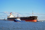 Największy statek w historii Portu Gdynia. &quot;Mona Pegasus&quot; zacumowała w sobotę przy nabrzeżu
