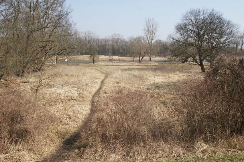 Na spacer można wybrać się na przystań w Bobrownikach, w...