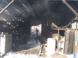 Krosno Odrzańskie: Zdjęcia OSP Osiecznica z pożaru zakładu przy ulicy Gubińskiej w Krośnie Odrzańskim (ZDJĘCIA)