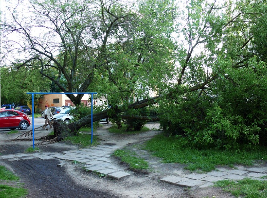 skutki nawałnicy na bydgoskim Błoniu