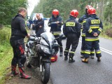 Brzeziny: motocyklista o mały włos zderzył się z jeleniem