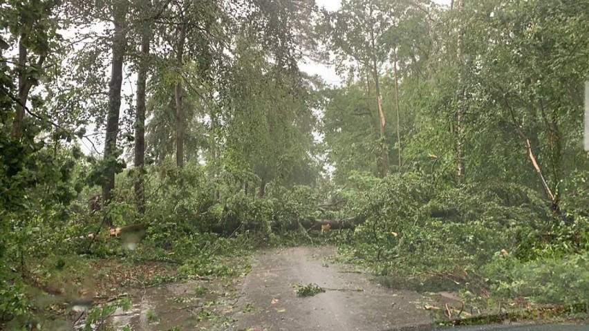 Skutki wczorajszej burzy w powiecie tczewskim 