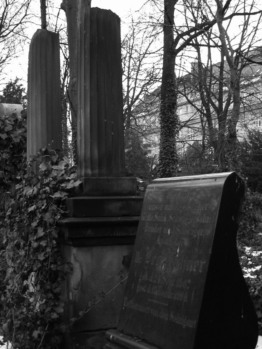 Na cmentarzu są setki grobów.  Fot. Kamil Drejer