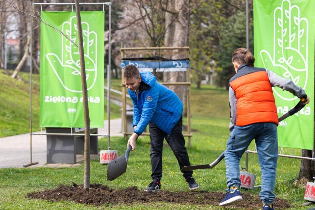 Wyciągnij rękę do naszej planety. Fundacja Ekologiczna Arka ruszyła z programem Zielona Ręka. 

Zobacz kolejne zdjęcia. Przesuwaj zdjęcia w prawo - naciśnij strzałkę lub przycisk NASTĘPNE