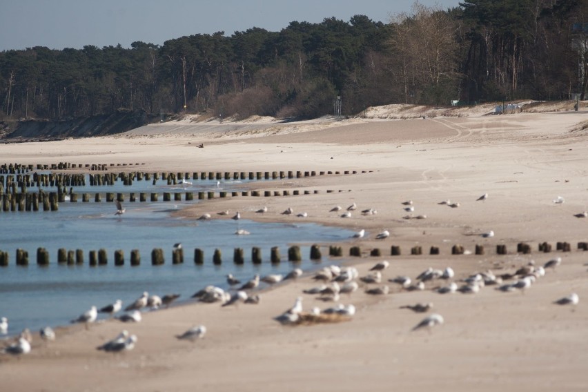 Od poniedziałku plaże, bulwary i promenady otwarte, ale przewietrzamy się w maseczkach