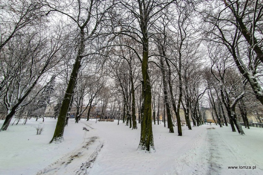 Masz pomysł na najstarszy park w Łomży? Ratusz czeka na propozycje
