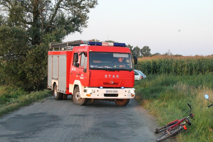 Samochód wypadł z drogi i uderzył w przydrożne drzewo. Kierowca trafił do szpitala [ZDJĘCIA]