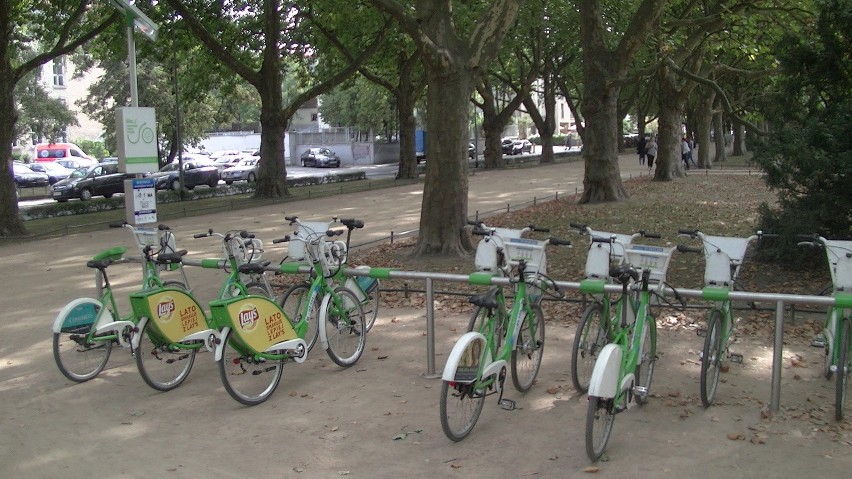 Szczecinianie chętnie korzystają z roweru miejskiego [wideo]
