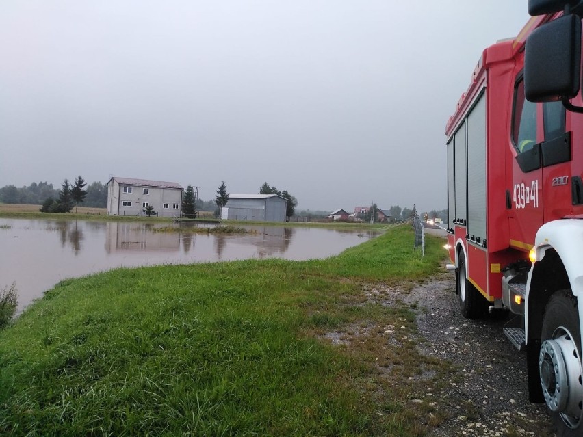 Powiśle Dąbrowskie. Podtopione domy, pola i posesje, strażacy w akcji. W kilku gminach powiatu alarmy przeciwpowodziowe [ZDJĘCIA]