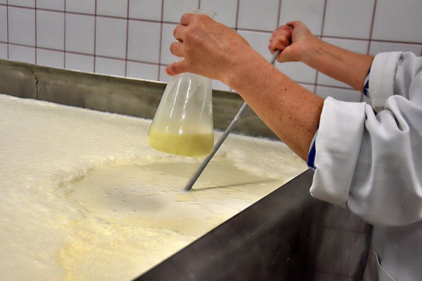Tak powstaje słynne masło z łużniańskiej mleczarni