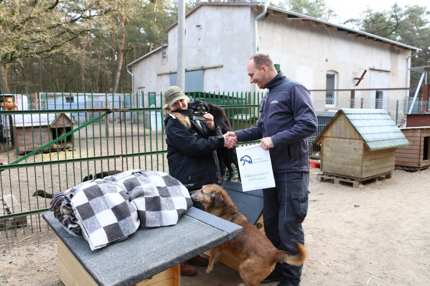 Powiat szamotulski. Zakład Karny we Wronkach spieszy z pomocą dla bezdomnych zwierząt